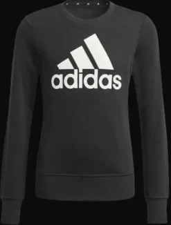 FELPA JUNIOR ADIDAS BL SWT GP0040