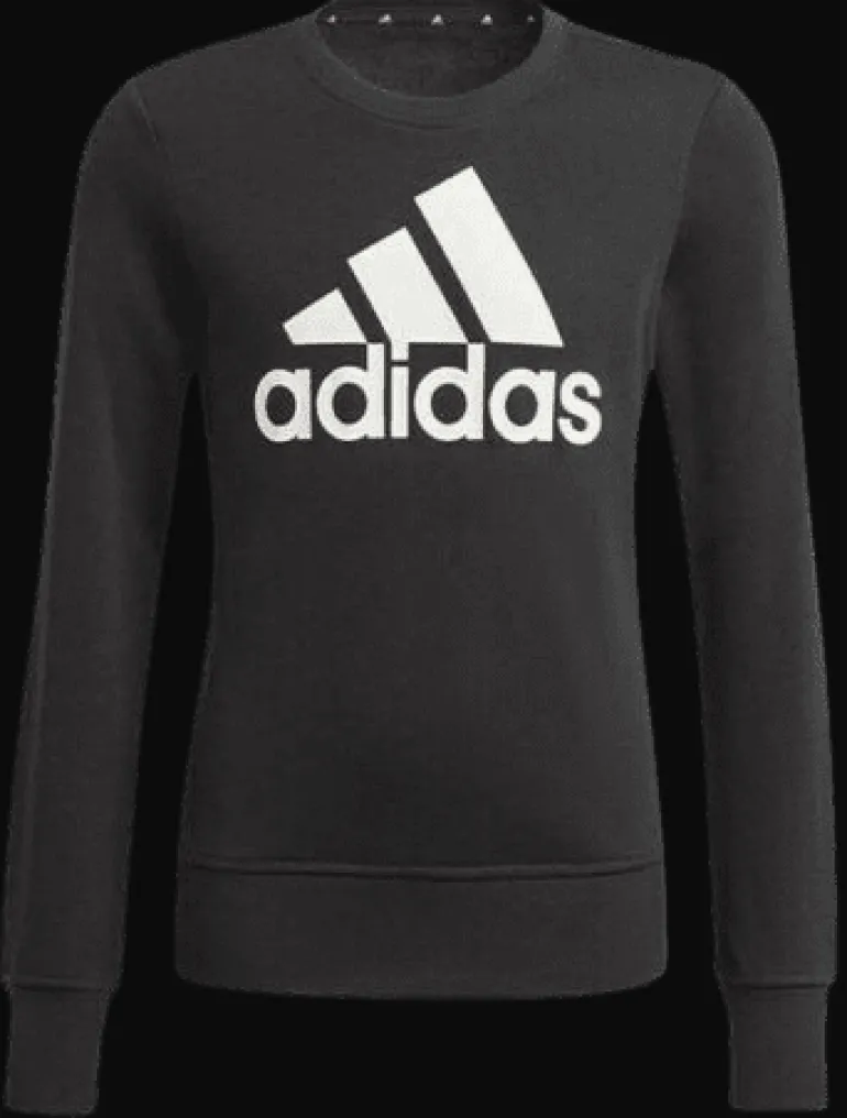 FELPA JUNIOR ADIDAS BL SWT GP0040