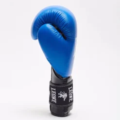 GUANTI DA BOXE AMBASSADOR GN207 02