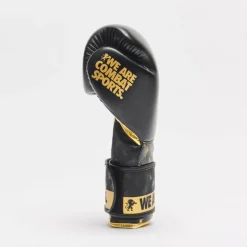 GUANTI DA BOXE DNA GN220 01