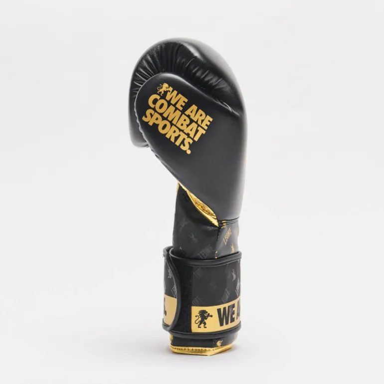GUANTI DA BOXE DNA GN220 01