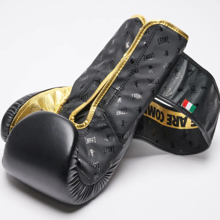 GUANTI DA BOXE DNA GN220 01