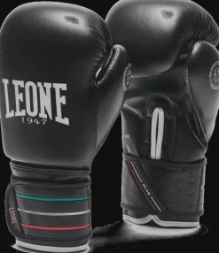 GUANTI DA BOXE FLAG GN212 01