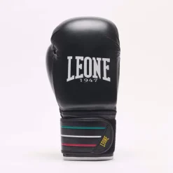 GUANTI DA BOXE FLAG GN212 01