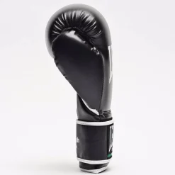 GUANTI DA BOXE FLASH GN083 01