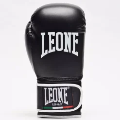GUANTI DA BOXE FLASH GN083 01
