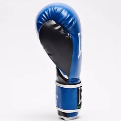 GUANTI DA BOXE FLASH GN083 02