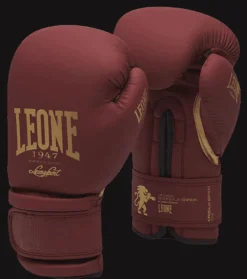 GUANTI DA BOXE GN059X 15