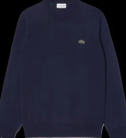 MAGLIONE DA UOMO LACOSTE AH3225 166