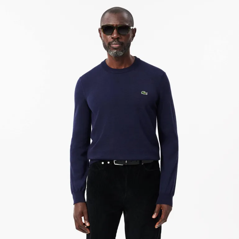 MAGLIONE DA UOMO LACOSTE AH3225 166