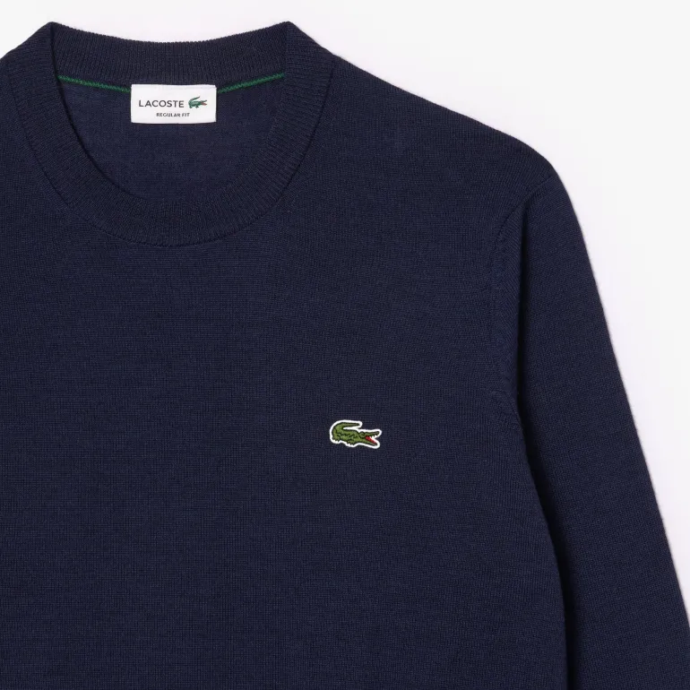 MAGLIONE DA UOMO LACOSTE AH3225 166