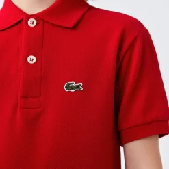 POLO JUNIOR LACOSTE PJ2909 240