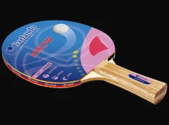 RACCHETTA DA PING PONG DA DIVERTIMENTO ARROW - 2 STELLE