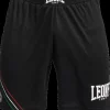 SHORT FLAG AB227 01