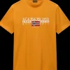 T-SHIRT A MANICA CORTA DA UOMO NAPAPIJRI S-AYLMER NP0A4HTO A70