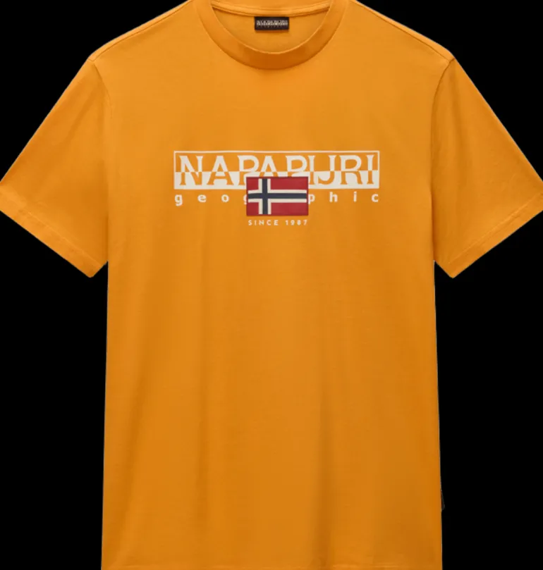 T-SHIRT A MANICA CORTA DA UOMO NAPAPIJRI S-AYLMER NP0A4HTO A70