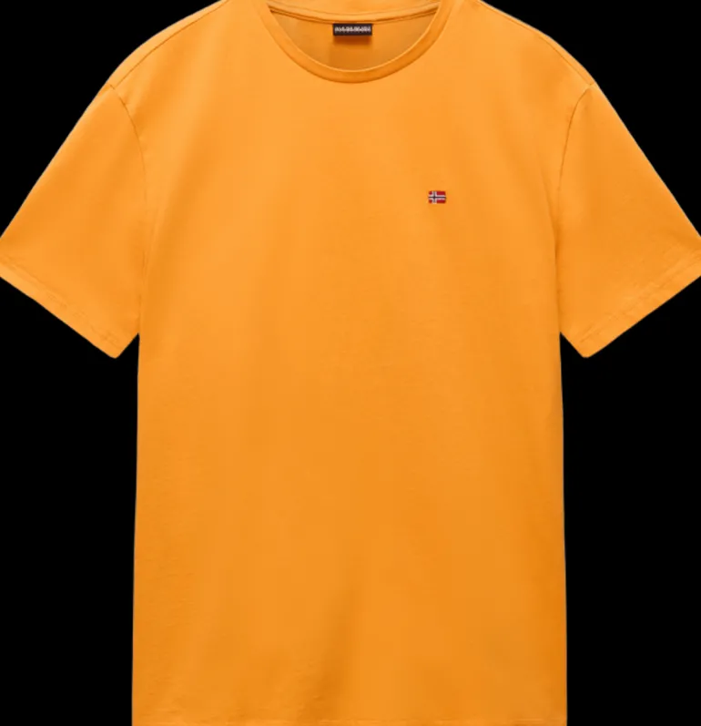 T-SHIRT A MANICA CORTA DA UOMO NAPAPIJRI SALIS SS SUM NP0A4H8D A70