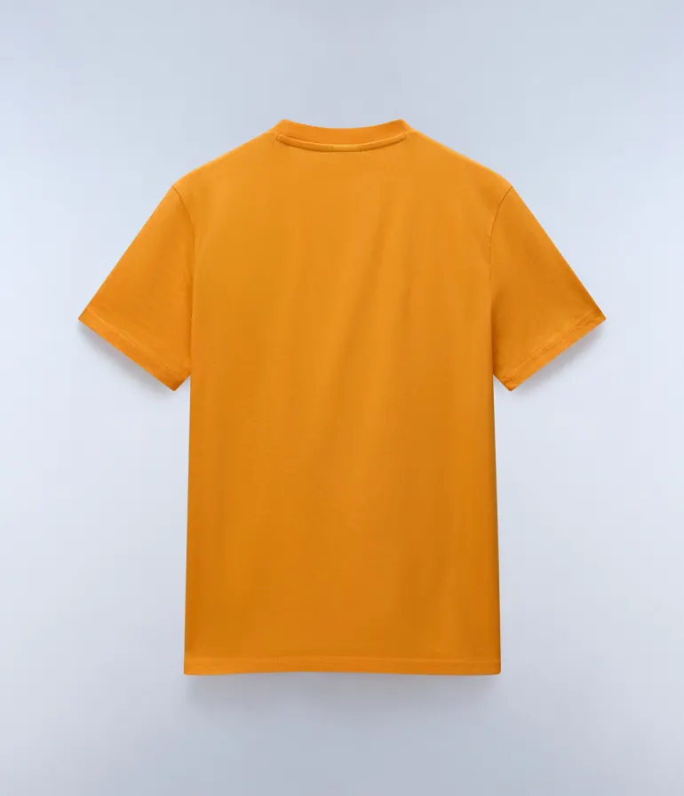 T-SHIRT A MANICA CORTA DA UOMO NAPAPIJRI S-AYLMER NP0A4HTO A70