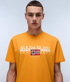 T-SHIRT A MANICA CORTA DA UOMO NAPAPIJRI S-AYLMER NP0A4HTO A70