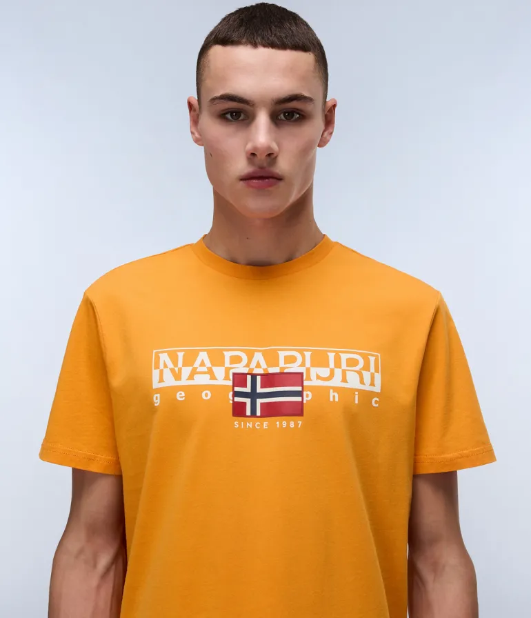 T-SHIRT A MANICA CORTA DA UOMO NAPAPIJRI S-AYLMER NP0A4HTO A70