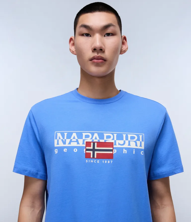 T-SHIRT A MANICA CORTA DA UOMO NAPAPIJRI S-AYLMER NP0A4HTO B2V