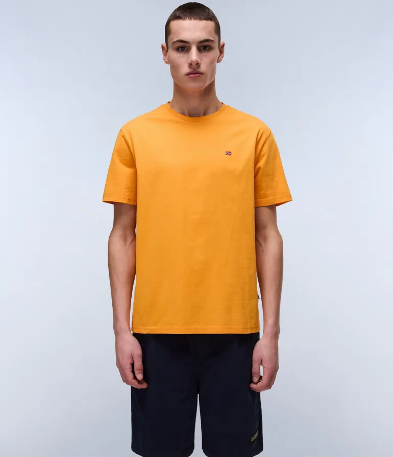 T-SHIRT A MANICA CORTA DA UOMO NAPAPIJRI SALIS SS SUM NP0A4H8D A70