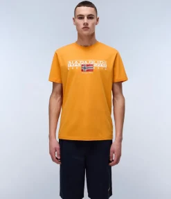 T-SHIRT A MANICA CORTA DA UOMO NAPAPIJRI S-AYLMER NP0A4HTO A70
