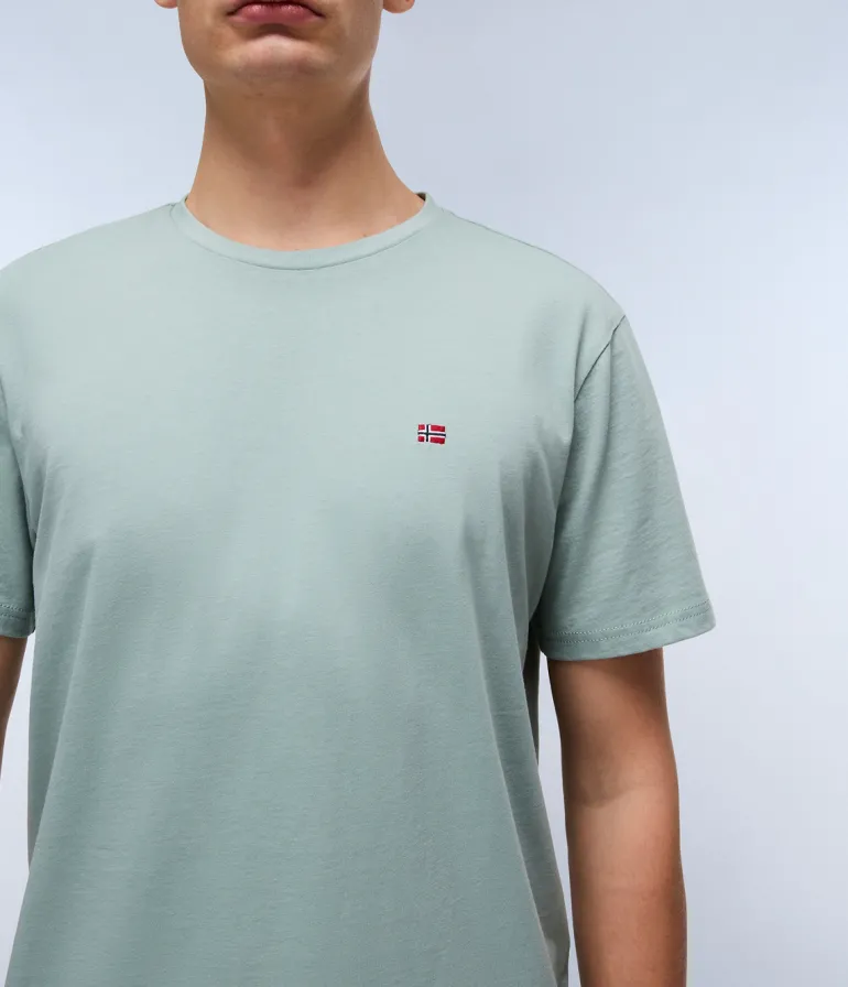 T-SHIRT A MANICA CORTA DA UOMO NAPAPIJRI SALIS SS SUM NP0A4H8D G1X