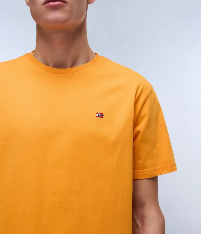 T-SHIRT A MANICA CORTA DA UOMO NAPAPIJRI SALIS SS SUM NP0A4H8D A70