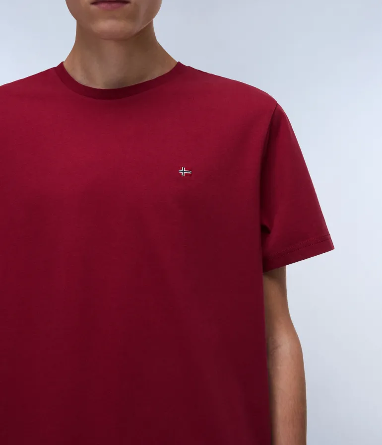 T-SHIRT A MANICA CORTA DA UOMO NAPAPIJRI SALIS SS SUM NP0A4H8D R1E