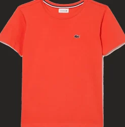 T-SHIRT A MANICA CORTA JUNIOR LACOSTE Â TJ1442 02K