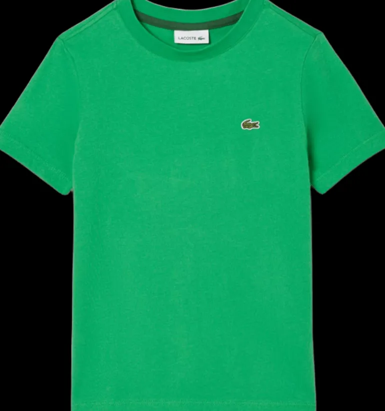 T-SHIRT A MANICA CORTA JUNIOR LACOSTE TJ1122 SIW